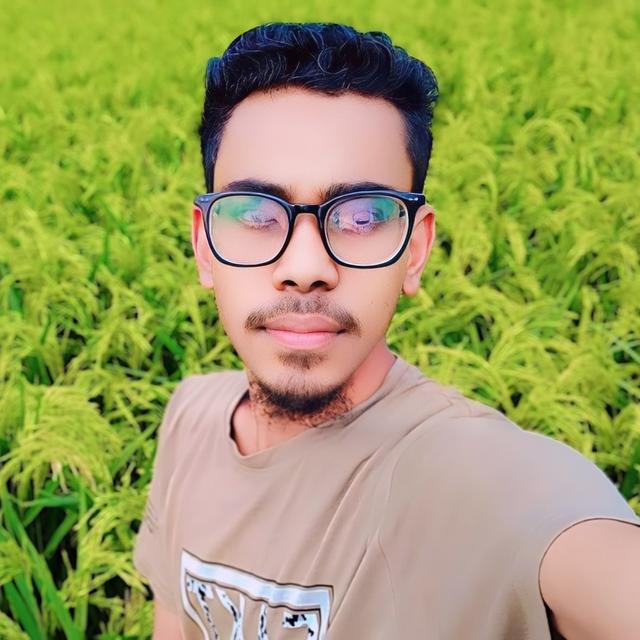 MoBaRoK Hossain