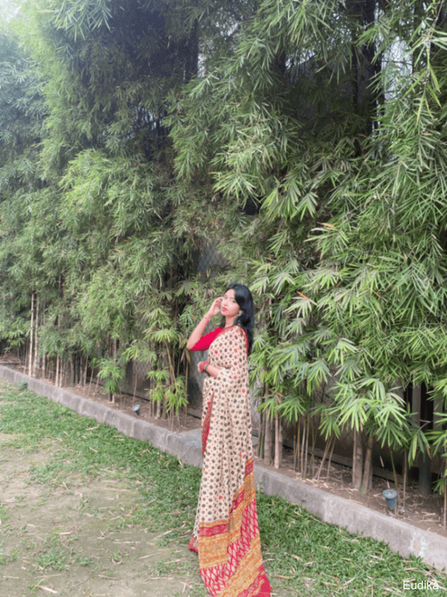 Inne Jahan