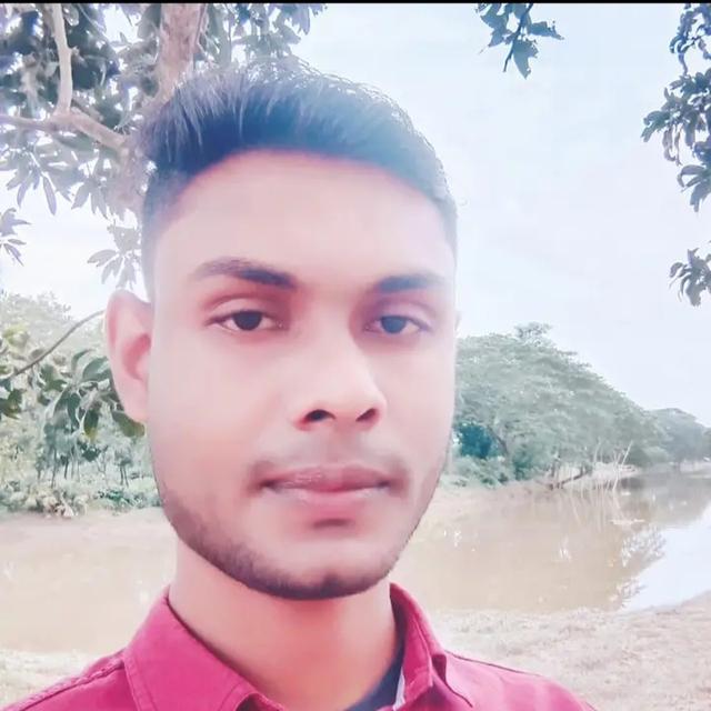 MD. Shamim Hasan