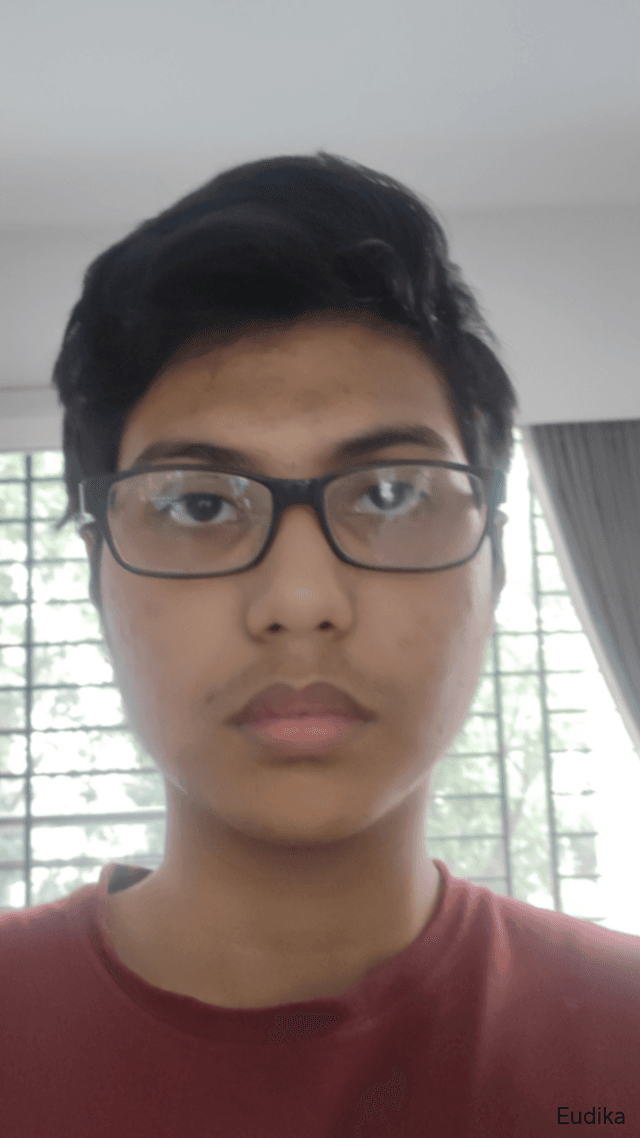 Muhammad Amerul Haque